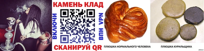гидра зеркало  Магадан  Гашиш индика сатива 